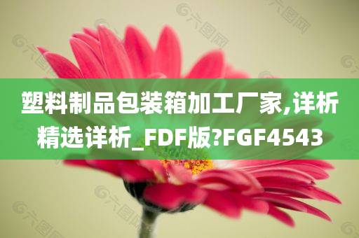 塑料制品包装箱加工厂家,详析精选详析_FDF版?FGF4543