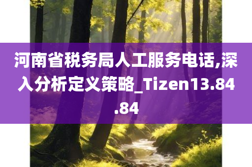 河南省税务局人工服务电话,深入分析定义策略_Tizen13.84.84