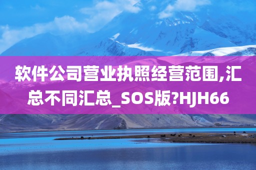 软件公司营业执照经营范围,汇总不同汇总_SOS版?HJH66