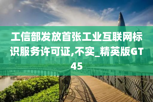 工信部发放首张工业互联网标识服务许可证,不实_精英版GT45