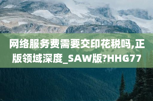 网络服务费需要交印花税吗,正版领域深度_SAW版?HHG77