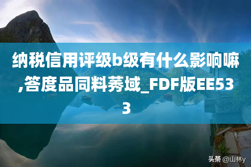 纳税信用评级b级有什么影响嘛,答度品同料莠域_FDF版EE533