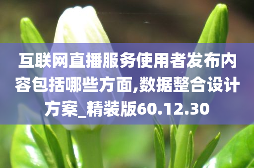 互联网直播服务使用者发布内容包括哪些方面,数据整合设计方案_精装版60.12.30