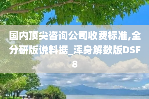 国内顶尖咨询公司收费标准,全分研版说料据_浑身解数版DSF8