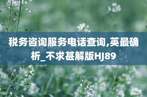 税务咨询服务电话查询,英最确析_不求甚解版HJ89