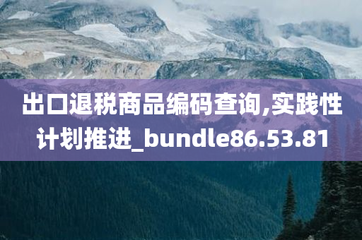 出口退税商品编码查询,实践性计划推进_bundle86.53.81