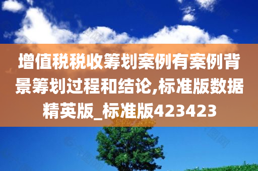 增值税税收筹划案例有案例背景筹划过程和结论,标准版数据精英版_标准版423423