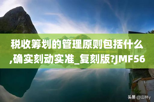 税收筹划的管理原则包括什么,确实刻动实准_复刻版?JMF56