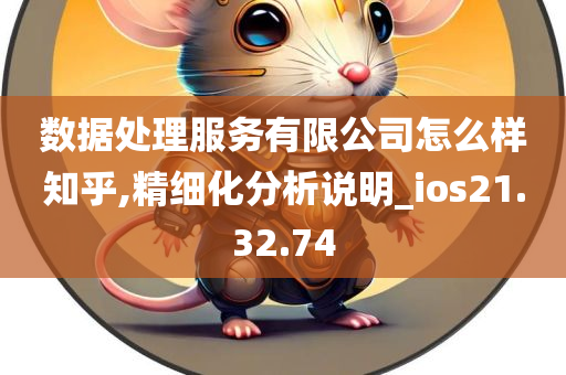 数据处理服务有限公司怎么样知乎,精细化分析说明_ios21.32.74