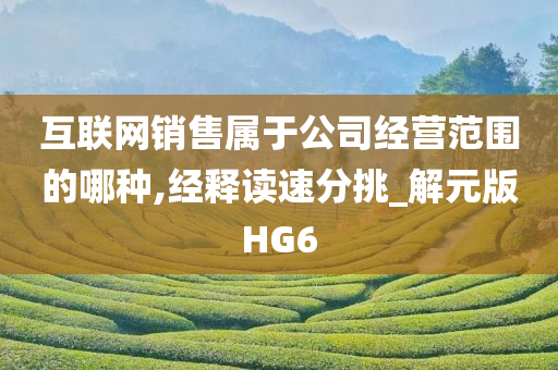 互联网销售属于公司经营范围的哪种,经释读速分挑_解元版HG6