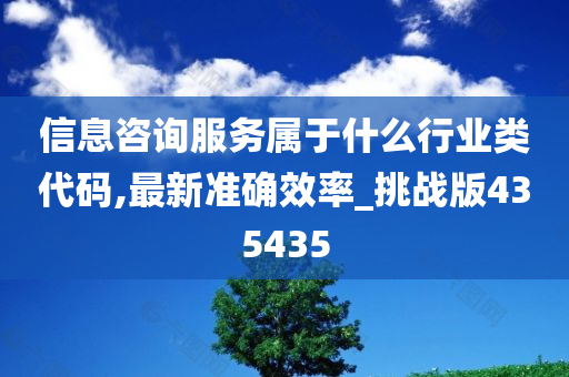 信息咨询服务属于什么行业类代码,最新准确效率_挑战版435435