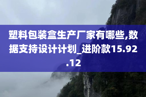 塑料包装盒生产厂家有哪些,数据支持设计计划_进阶款15.92.12