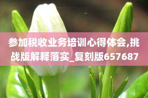 参加税收业务培训心得体会,挑战版解释落实_复刻版657687