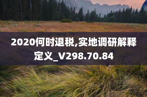 2020何时退税,实地调研解释定义_V298.70.84