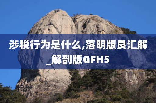 涉税行为是什么,落明版良汇解_解剖版GFH5