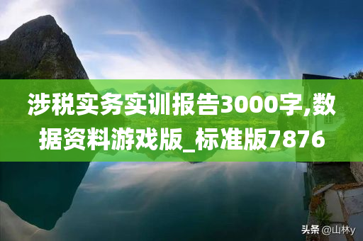 涉税实务实训报告3000字,数据资料游戏版_标准版7876