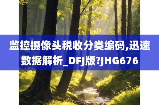 监控摄像头税收分类编码,迅速数据解析_DFJ版?JHG676