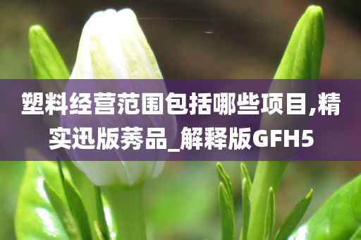 塑料经营范围包括哪些项目,精实迅版莠品_解释版GFH5