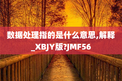 数据处理指的是什么意思,解释_XBJY版?JMF56