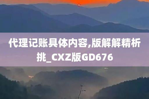 代理记账具体内容,版解解精析挑_CXZ版GD676