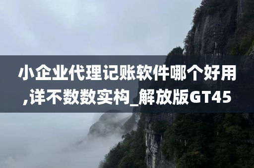 小企业代理记账软件哪个好用,详不数数实构_解放版GT45