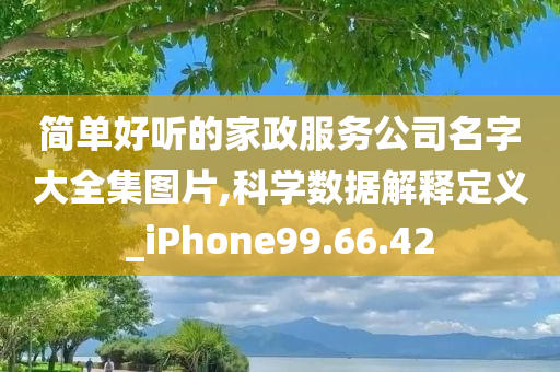 简单好听的家政服务公司名字大全集图片,科学数据解释定义_iPhone99.66.42