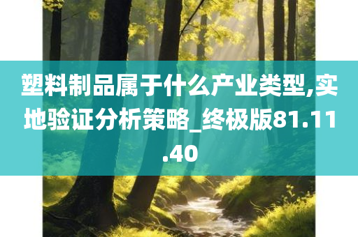 塑料制品属于什么产业类型,实地验证分析策略_终极版81.11.40