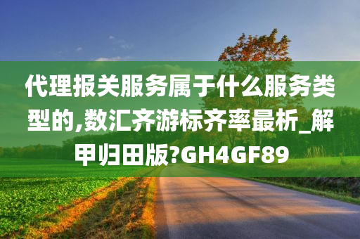 代理报关服务属于什么服务类型的,数汇齐游标齐率最析_解甲归田版?GH4GF89