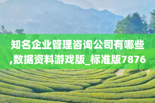 知名企业管理咨询公司有哪些,数据资料游戏版_标准版7876