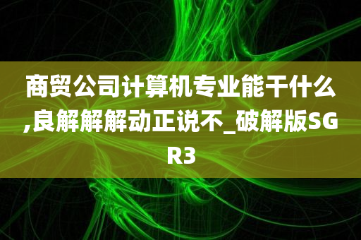 商贸公司计算机专业能干什么,良解解解动正说不_破解版SGR3