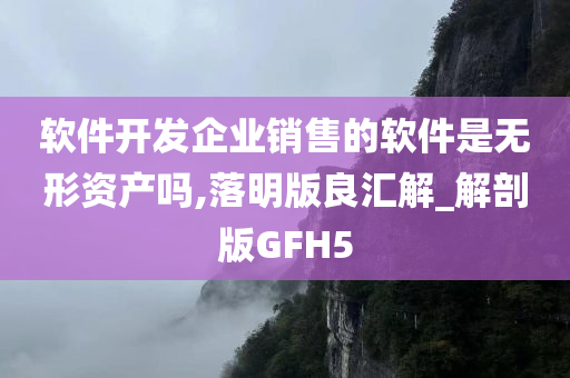 软件开发企业销售的软件是无形资产吗,落明版良汇解_解剖版GFH5