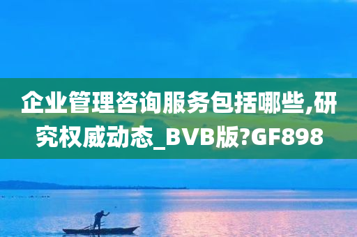 企业管理咨询服务包括哪些,研究权威动态_BVB版?GF898