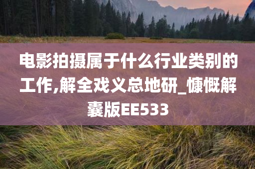 电影拍摄属于什么行业类别的工作,解全戏义总地研_慷慨解囊版EE533