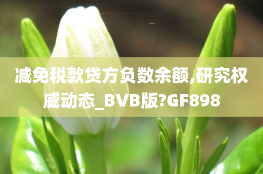 减免税款贷方负数余额,研究权威动态_BVB版?GF898