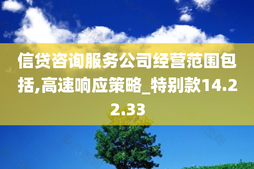 信贷咨询服务公司经营范围包括,高速响应策略_特别款14.22.33