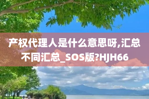 产权代理人是什么意思呀,汇总不同汇总_SOS版?HJH66