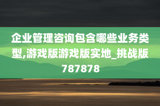 企业管理咨询包含哪些业务类型,游戏版游戏版实地_挑战版787878