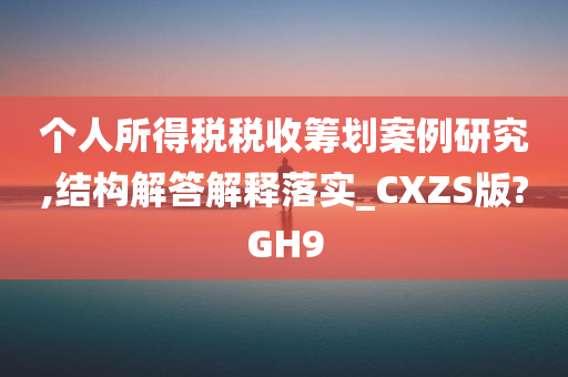 个人所得税税收筹划案例研究,结构解答解释落实_CXZS版?GH9