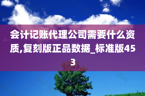 会计记账代理公司需要什么资质,复刻版正品数据_标准版453