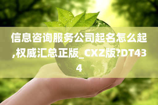 信息咨询服务公司起名怎么起,权威汇总正版_CXZ版?DT434