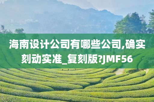 海南设计公司有哪些公司,确实刻动实准_复刻版?JMF56