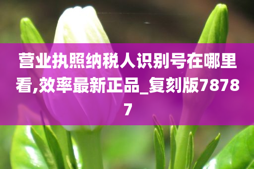 营业执照纳税人识别号在哪里看,效率最新正品_复刻版78787