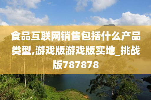 食品互联网销售包括什么产品类型,游戏版游戏版实地_挑战版787878