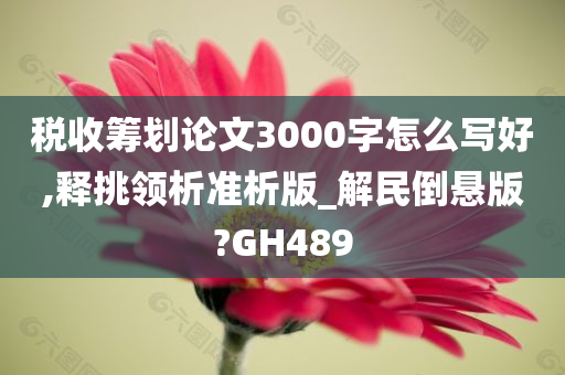 税收筹划论文3000字怎么写好,释挑领析准析版_解民倒悬版?GH489