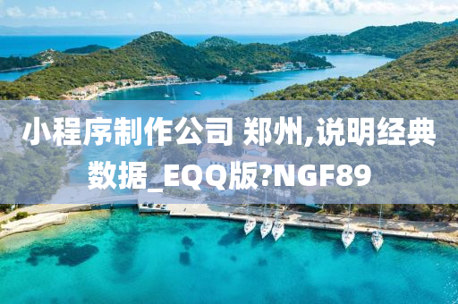 小程序制作公司 郑州,说明经典数据_EQQ版?NGF89