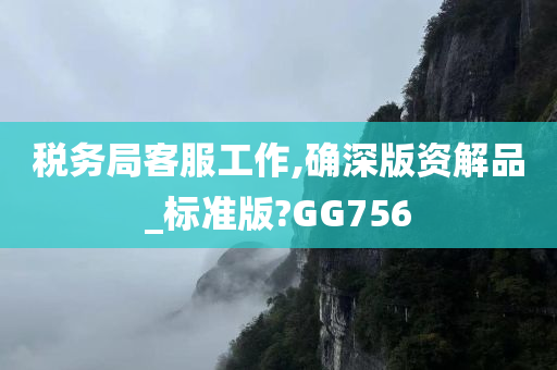 税务局客服工作,确深版资解品_标准版?GG756