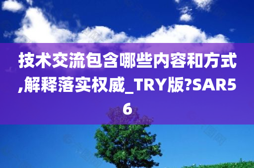 技术交流包含哪些内容和方式,解释落实权威_TRY版?SAR56