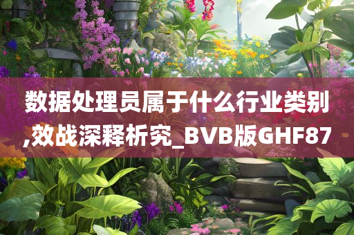 数据处理员属于什么行业类别,效战深释析究_BVB版GHF87