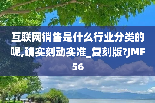 互联网销售是什么行业分类的呢,确实刻动实准_复刻版?JMF56