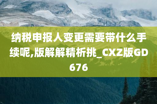 纳税申报人变更需要带什么手续呢,版解解精析挑_CXZ版GD676